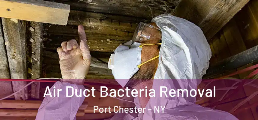  Air Duct Bacteria Removal Port Chester - NY