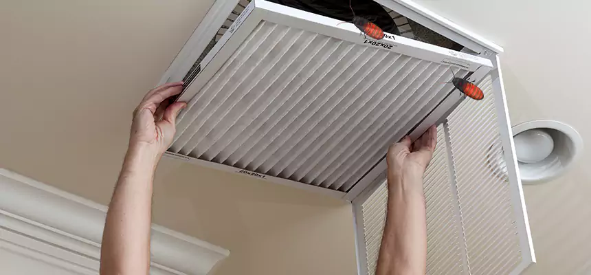 Preventive Cockroach-Proofing for Ducts in Port Chester