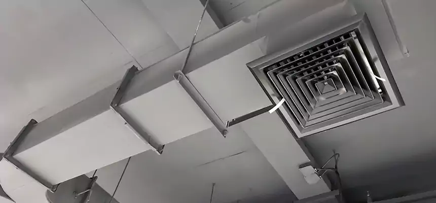 Restorative Allergy Relief Vent Cleaning – Coil, Blower & Housing Detail in Port Chester