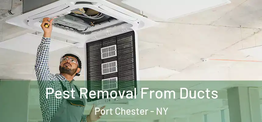  Pest Removal From Ducts Port Chester - NY