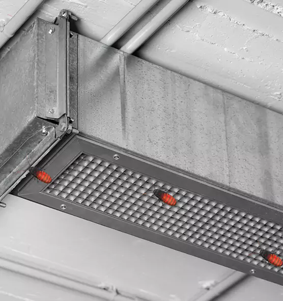 About Air Duct Cockroach Removal in Port Chester, NY