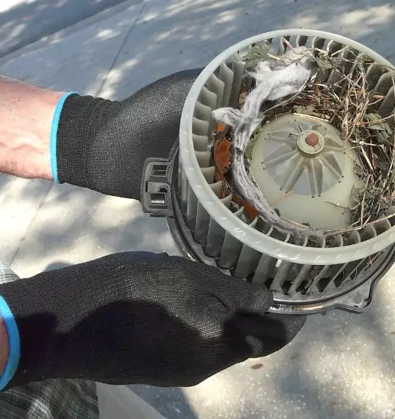 About Air Duct Mice Removal in Port Chester, NY