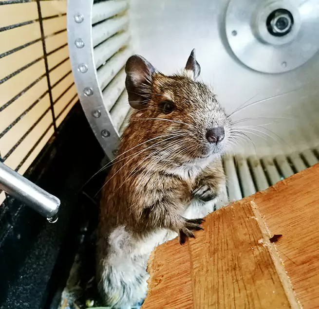 Why Homeowners & Businesses Trust Us Port Chester, NY